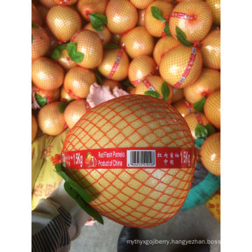 Wholesale Chinese High Quality Fresh Fruit White Meat Pomelo White Pomelo/Red Pomelo